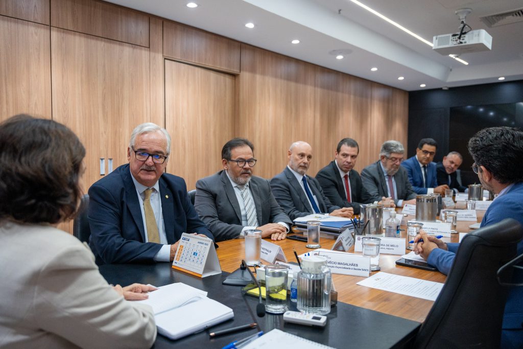 Abramed participa de reuniões com a ministra da Saúde